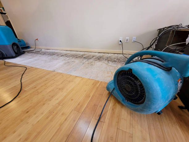 Professional Water Removal technician working in Red Rock, TX